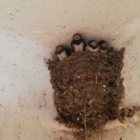 Marbacher Hof 1 Apartman