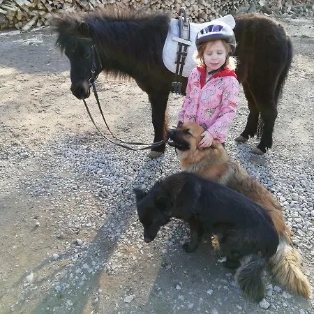 Apartman Marbacher Hof 1 *