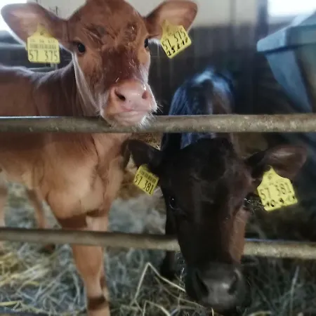 Marbacher Hof 1 Hirschberg an der Bergstraße